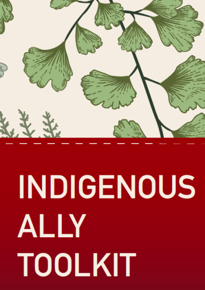Indigenous Ally Toolkit - Graphic
